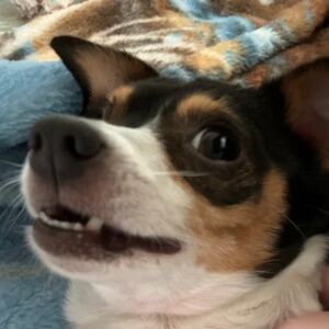 Meet your Posher, Kerri